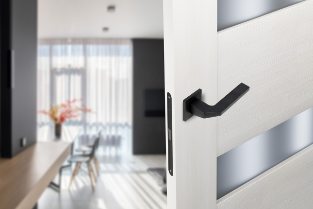 Ручка ADDEN BAU HOME Q532 BLACK черный