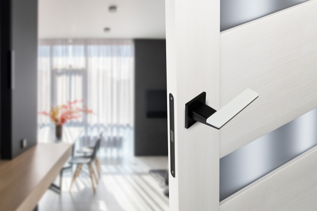 Ручка ADDEN BAU M-WAY Q519 BLACK черный