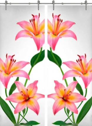 Раздвижная стеклянная дверь двустворчатая Flowers-03 ПО (Фотопечать)