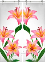 Раздвижная стеклянная дверь двустворчатая Flowers-03 ПО (Фотопечать)