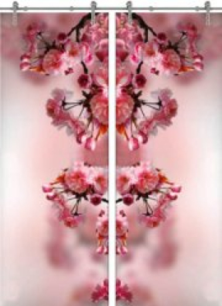 Раздвижная стеклянная дверь двустворчатая Flowers-16 ПО (Фотопечать)