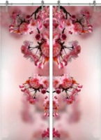Раздвижная стеклянная дверь двустворчатая Flowers-16 ПО (Фотопечать)