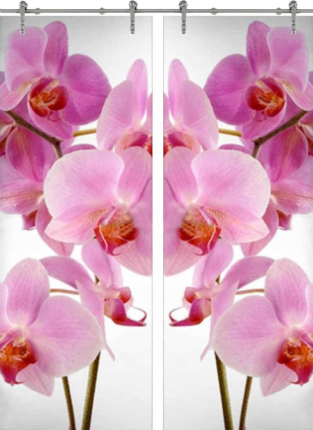 Раздвижная стеклянная дверь двустворчатая Flowers-17 ПО (Фотопечать)