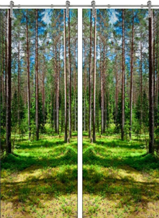 Раздвижная стеклянная дверь двустворчатая Forest-03 ПО (Фотопечать)