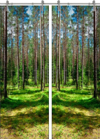 Раздвижная стеклянная дверь двустворчатая Forest-03 ПО (Фотопечать)