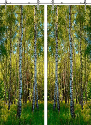 Раздвижная стеклянная дверь двустворчатая Forest-20 ПО (Фотопечать)