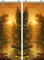 Раздвижная стеклянная дверь двустворчатая Painting-10 ПО (Фотопечать)