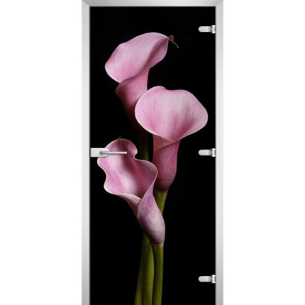 Стеклянная межкомнатная дверь FLOWERS-02