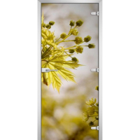Стеклянная межкомнатная дверь FLOWERS-09