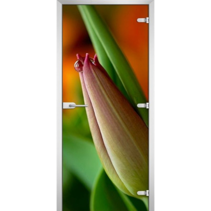 Стеклянная межкомнатная дверь FLOWERS-10