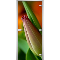 Стеклянная межкомнатная дверь FLOWERS-10