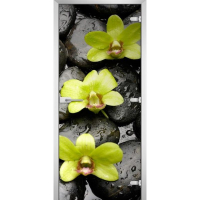 Стеклянная межкомнатная дверь FLOWERS-11
