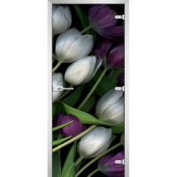 Стеклянная межкомнатная дверь FLOWERS-12