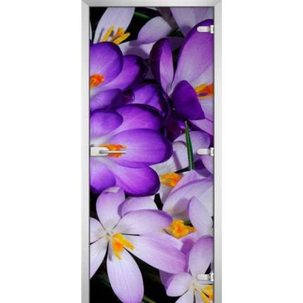 Стеклянная межкомнатная дверь FLOWERS-13