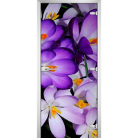 Стеклянная межкомнатная дверь FLOWERS-13