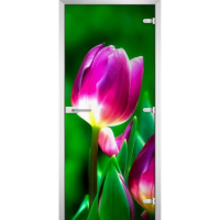 Стеклянная межкомнатная дверь FLOWERS-15