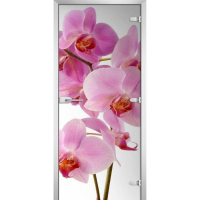 Стеклянная межкомнатная дверь FLOWERS-17