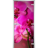 Стеклянная межкомнатная дверь FLOWERS-19