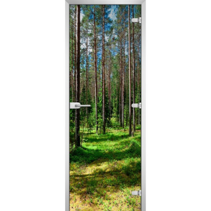 Стеклянная межкомнатная дверь FOREST-03