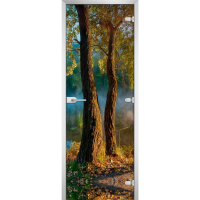 Стеклянная межкомнатная дверь FOREST-06