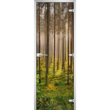 Стеклянная межкомнатная дверь FOREST-13