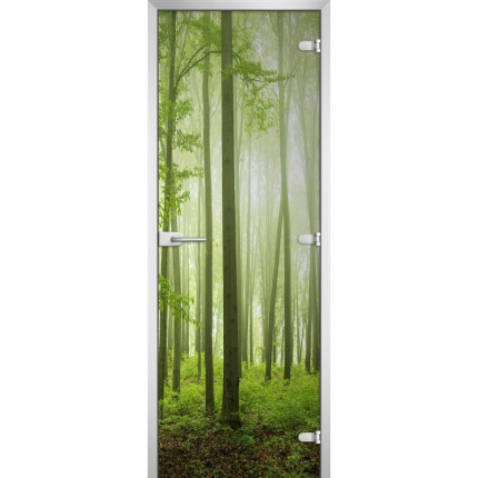 Стеклянная межкомнатная дверь FOREST-15