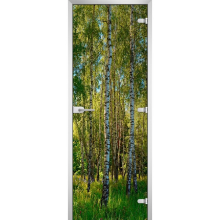 Стеклянная межкомнатная дверь FOREST-20