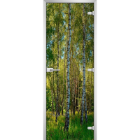 Стеклянная межкомнатная дверь FOREST-20