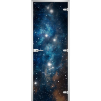 Стеклянная межкомнатная дверь SPACE-19