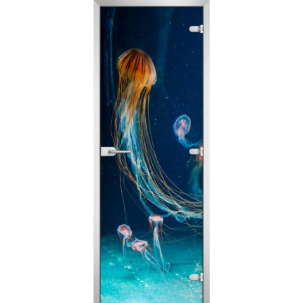 Стеклянная межкомнатная дверь UNDERWATER WORLD-12
