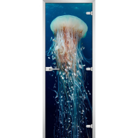 Стеклянная межкомнатная дверь UNDERWATER WORLD-13