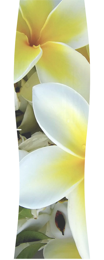 фото 31