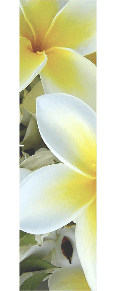 фото 31