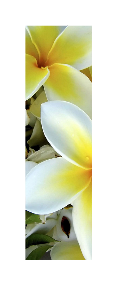 фото 31